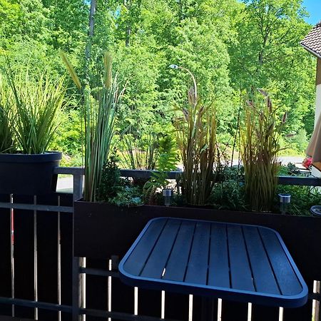 Ferienwohnung Waldzauber Bad Sachsa Luaran gambar